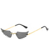 Women’s Winged Hip-Hop Sunglasses