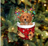 Christmas Tree Ornaments Decorate Holiday Gifts