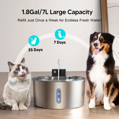 3.2L Stainless Steel Cat Water Fountain