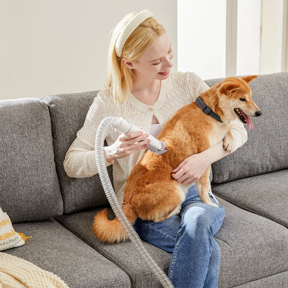 2.5L Pet Grooming Vacuum Kit with 5 Tools & Clippers