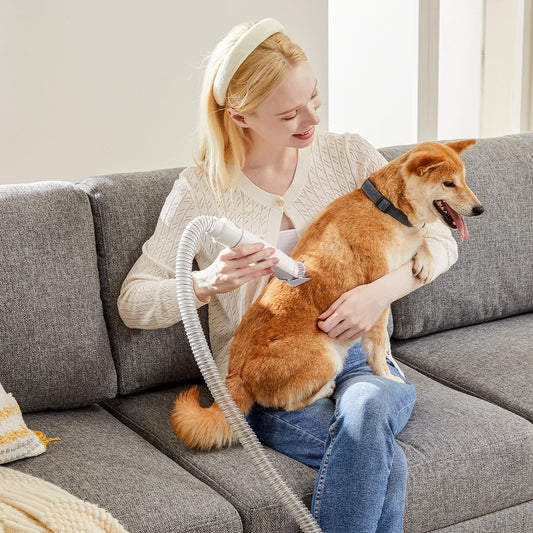 2.5L Pet Grooming Vacuum Kit with 5 Tools & Clippers