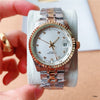 Stainless Steel Mechanical Watch